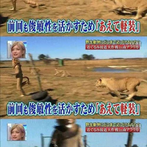 열도의 못말리는 예능2.jpg