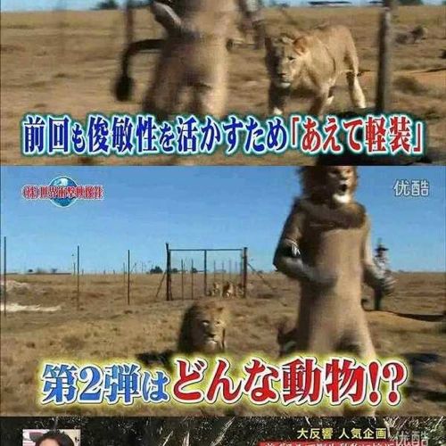 열도의 못말리는 예능2.jpg
