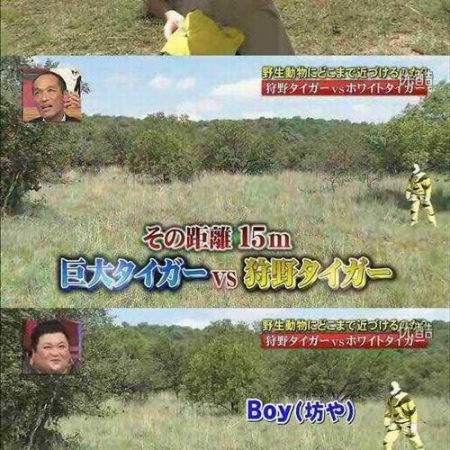 열도의 못말리는 예능2.jpg