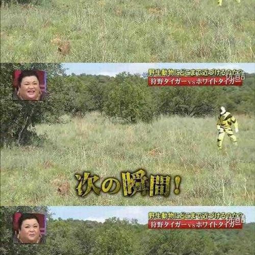 열도의 못말리는 예능2.jpg