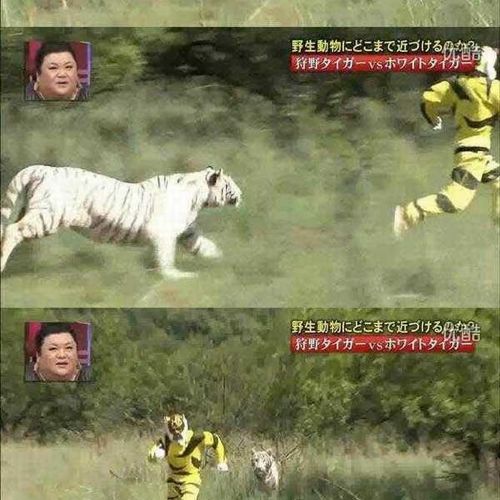 열도의 못말리는 예능2.jpg
