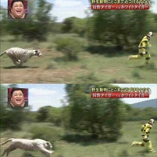 열도의 못말리는 예능2.jpg