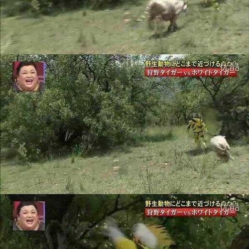 열도의 못말리는 예능2.jpg
