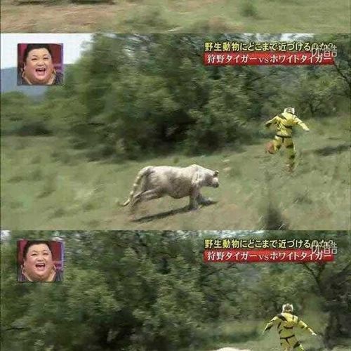 열도의 못말리는 예능2.jpg