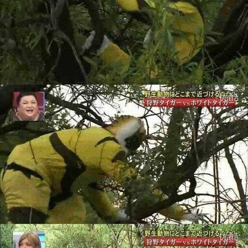 열도의 못말리는 예능2.jpg
