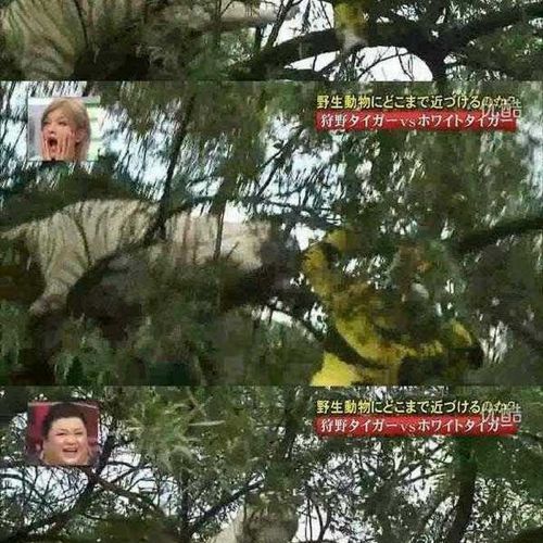 열도의 못말리는 예능2.jpg
