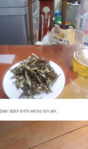 나 삐졌뜸!!.jpg