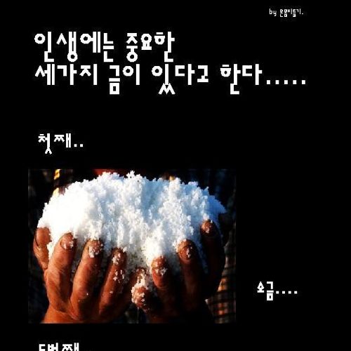 인생에서 중요한 세가지 금