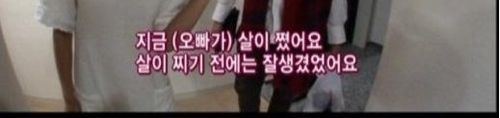 사유리의 오빠사랑.jpg