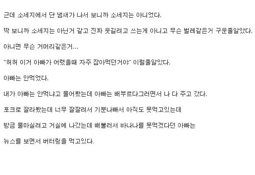 아빠가 와갤러.jpg
