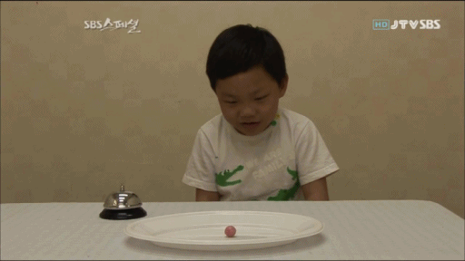 자제력 甲.gif