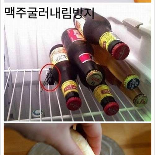 생활요령.jpg