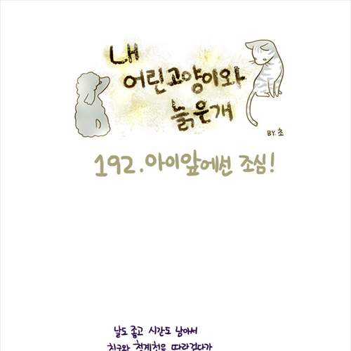 개념 교육.jpg