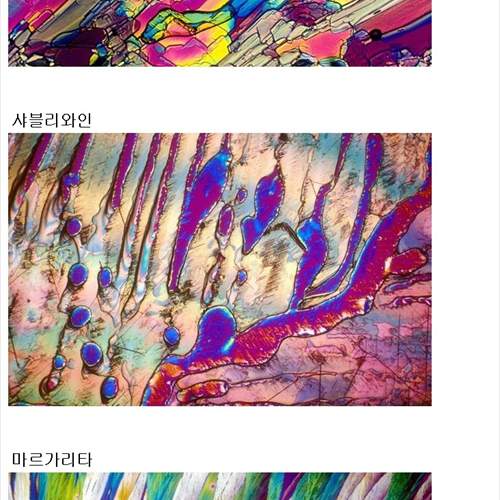 현미경으로 바라본 각종 술들
