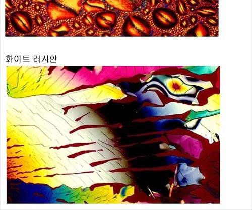 현미경으로 바라본 각종 술들