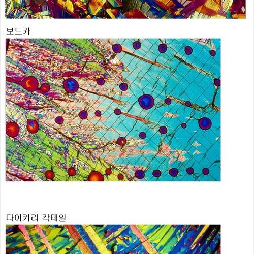 현미경으로 바라본 각종 술들