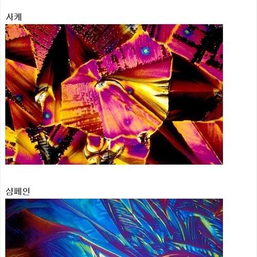 현미경으로 바라본 각종 술들