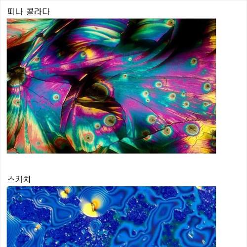 현미경으로 바라본 각종 술들
