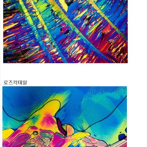 현미경으로 바라본 각종 술들