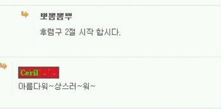 옵뽠 삼성스타일.jpg