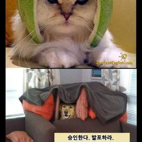 동물 스나이퍼.jpg
