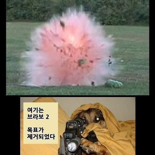 동물 스나이퍼.jpg