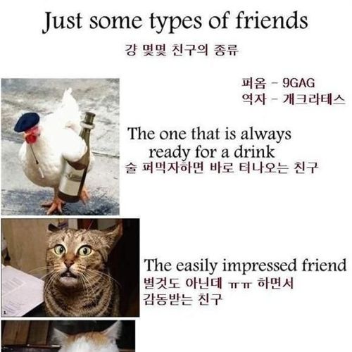 친구의 종류.jpg