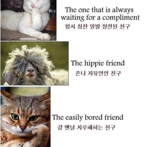 친구의 종류.jpg