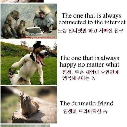 친구의 종류.jpg