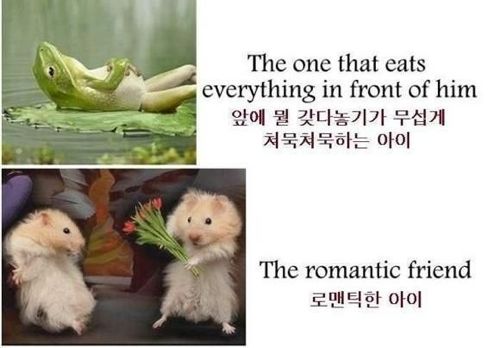 친구의 종류.jpg