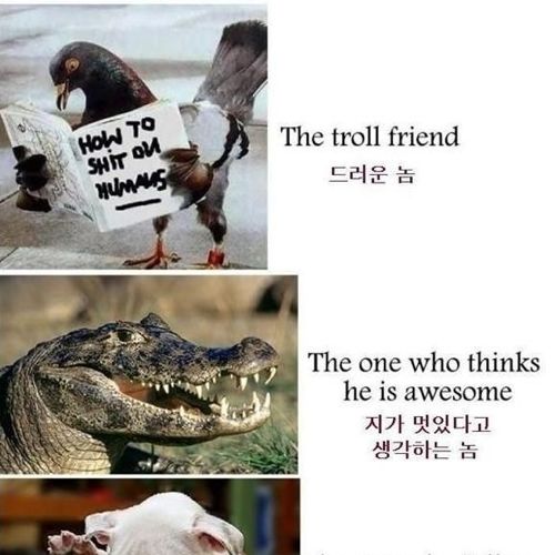 친구의 종류.jpg