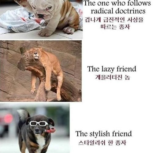 친구의 종류.jpg