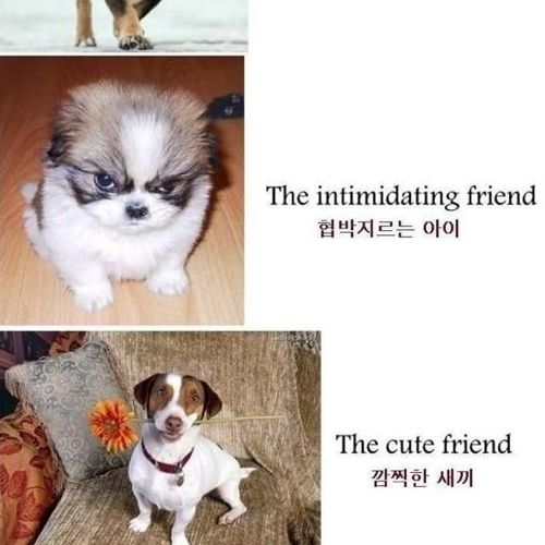 친구의 종류.jpg
