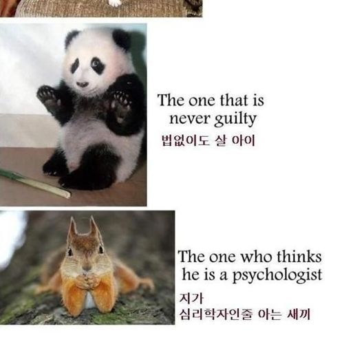 친구의 종류.jpg