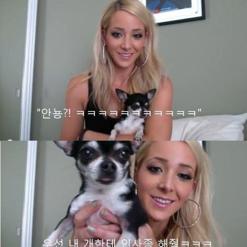 스포츠브라와 비키니의 차이