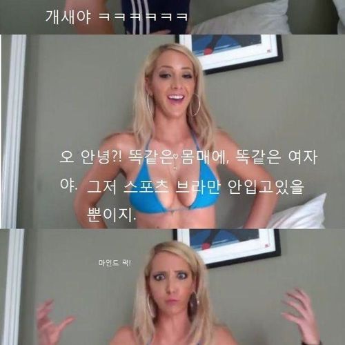 스포츠브라와 비키니의 차이