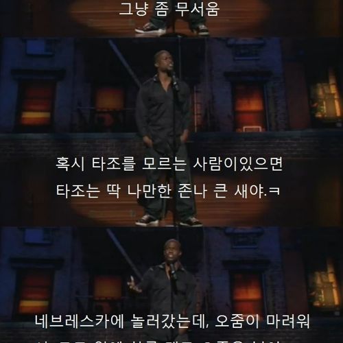 타조를 싫어하는 이유.jpg