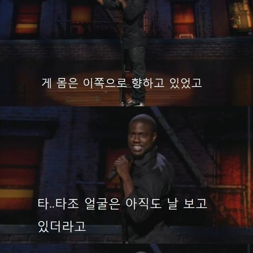 타조를 싫어하는 이유.jpg