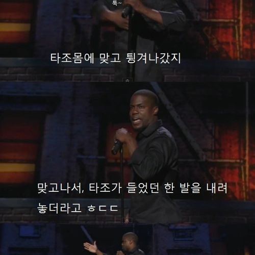 타조를 싫어하는 이유.jpg