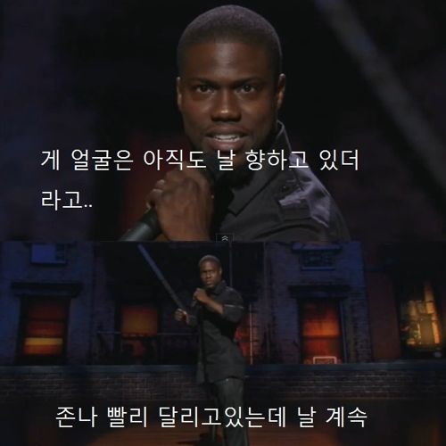 타조를 싫어하는 이유.jpg