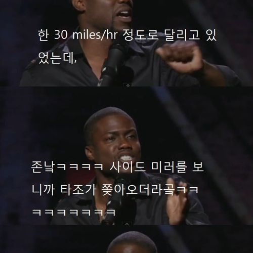 타조를 싫어하는 이유.jpg