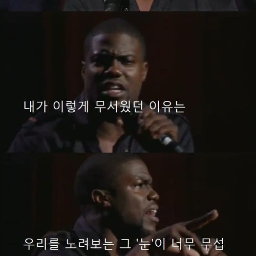 타조를 싫어하는 이유.jpg