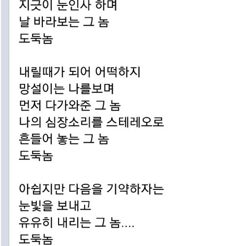 시-도둑놈.jpg