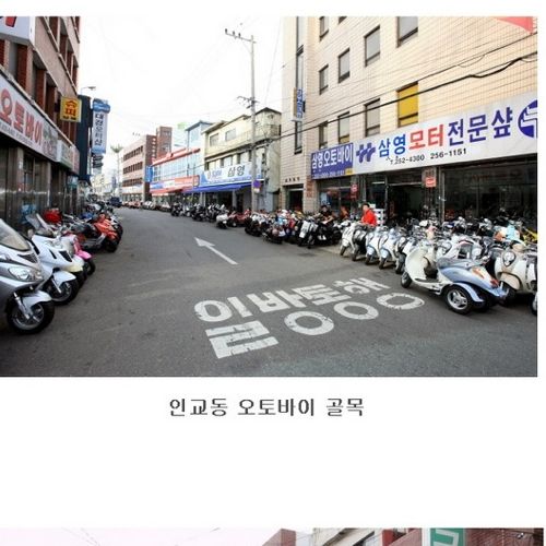 [스압]대구의 골목문화.jpg