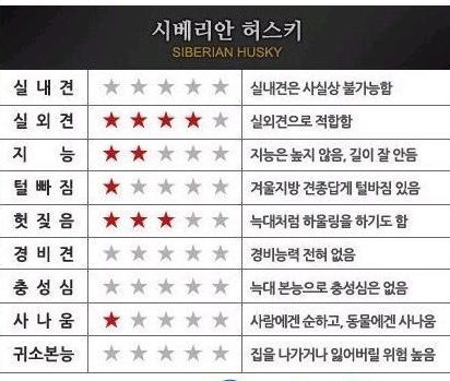 애완견 능력치.jpg