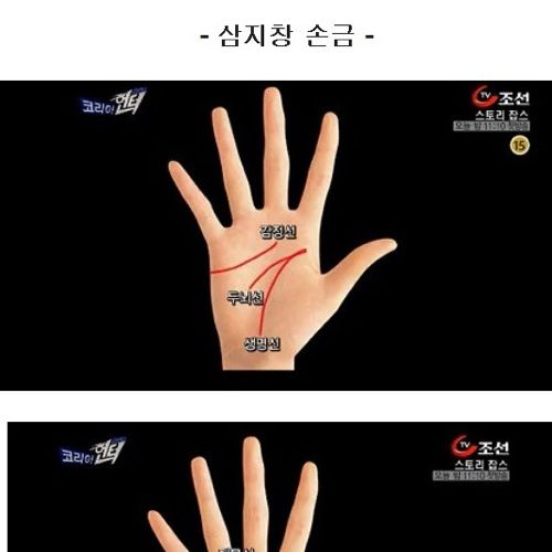 부자손금.jpg