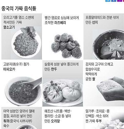 대륙의 가짜음식들.jpg