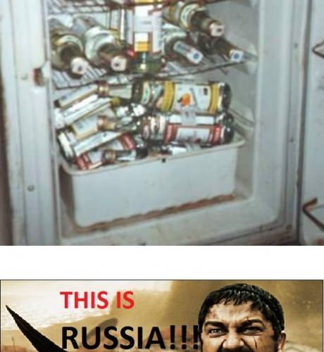 이상한 나라.jpg
