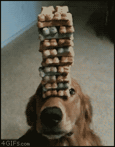개힘든 컨트롤.gif