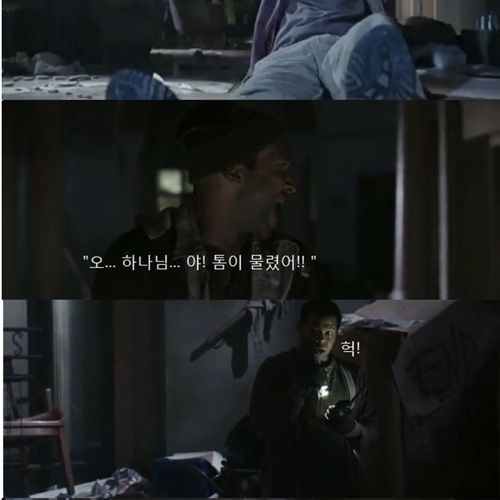 톰이 물렸어.jpg